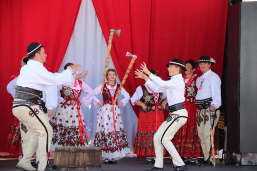 Polish Festival (Phoenix)