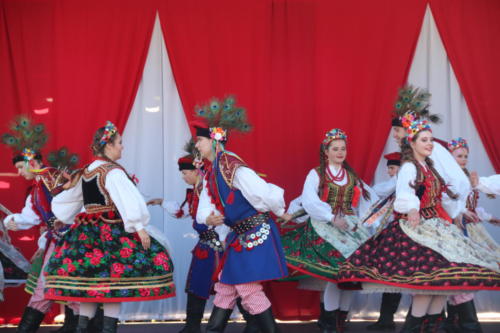 Polish Festival (Phoenix)