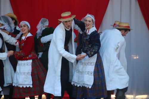 Polish Festival (Phoenix)