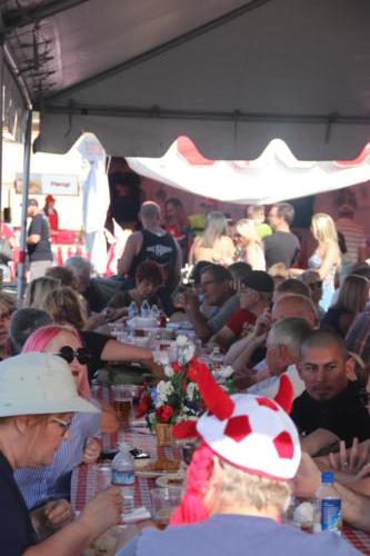 Polish Festival (Phoenix)