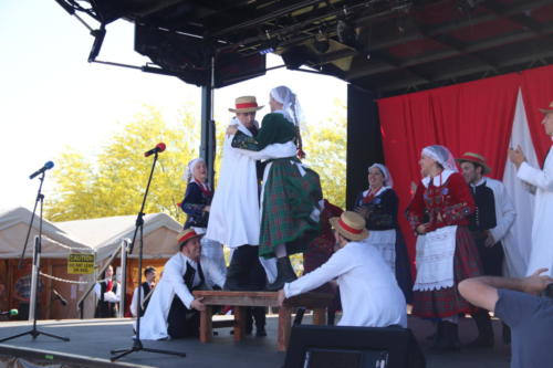 Polish Festival (Phoenix)