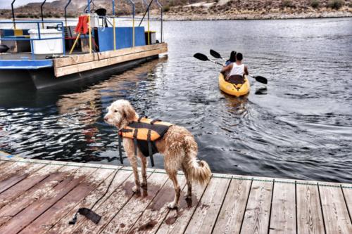 Lake Pleasant Regional Park