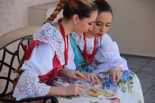 Polish Festival (Phoenix)