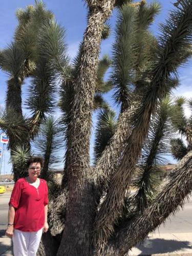 Nevada